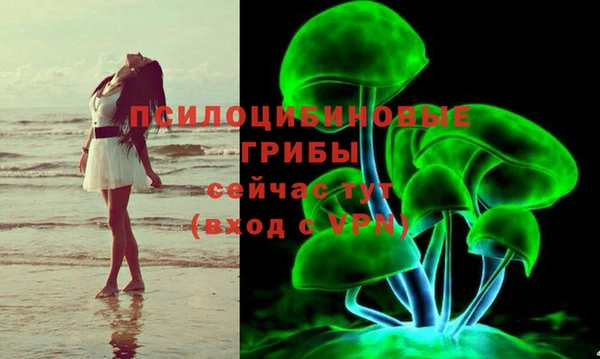 трава Бронницы