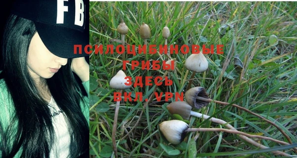 трава Бронницы