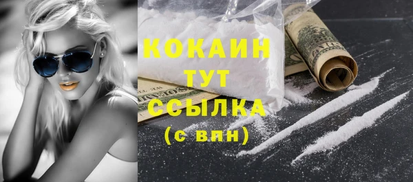 mix Бородино