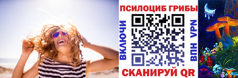 Галлюциногенные грибы Psilocybe  Кемерово 